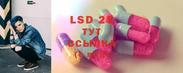 ГАЛЛЮЦИНОГЕННЫЕ ГРИБЫ Алзамай