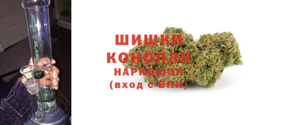 ГАЛЛЮЦИНОГЕННЫЕ ГРИБЫ Алзамай
