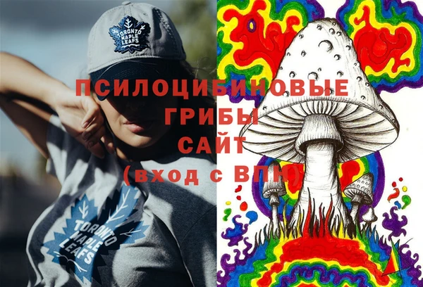 ГАЛЛЮЦИНОГЕННЫЕ ГРИБЫ Алзамай