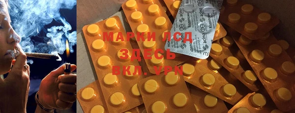 ГАЛЛЮЦИНОГЕННЫЕ ГРИБЫ Алзамай