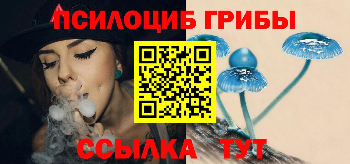 Галлюциногенные грибы Psilocybe  Галлюциногенные грибы прущие грибы  Мыски  Вход с VPN 